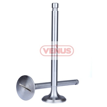 Engine_valve
